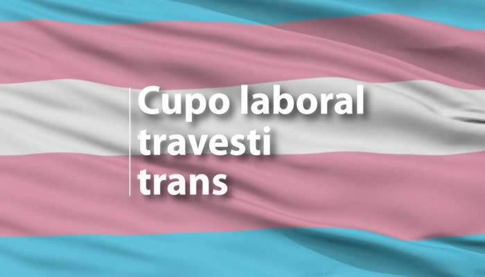El Ministerio de Desarrollo Social destacó cumplimiento del cupo laboral travesti/trans