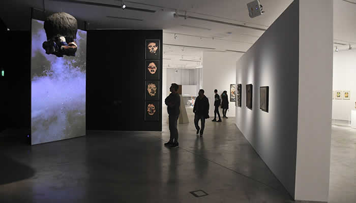 Museo de Arte Moderno de Buenos Aires: El primero en medir su huella de carbono